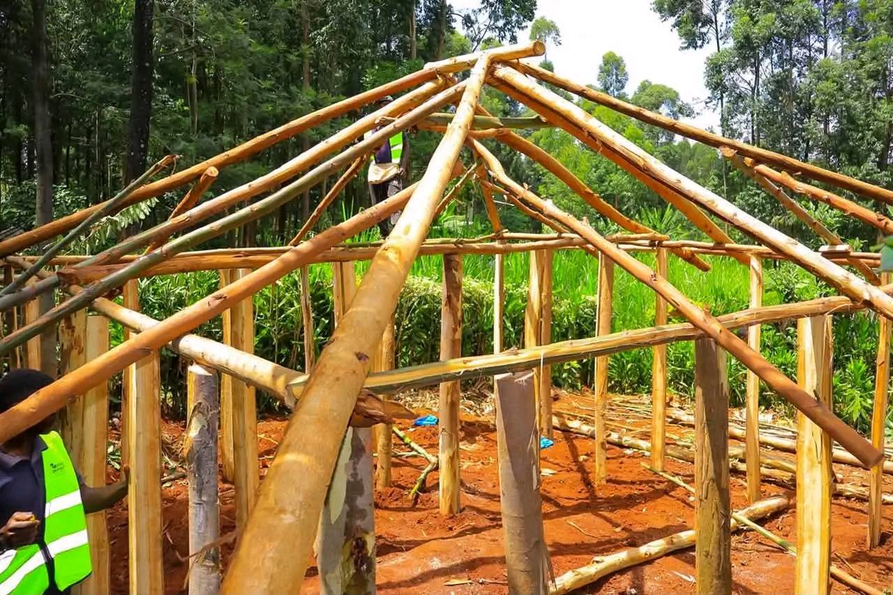 New house frame taking shape